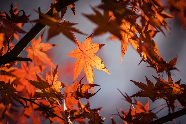 7 Reasons Autumn May Be a PERFECT Time to Upsize Your Home